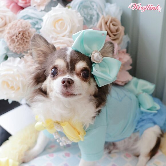 Baby Bling BB by Wooflink - SIZE 1 WHITE - Picture 4 of 5